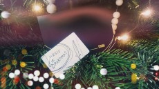 JD gift card 2
